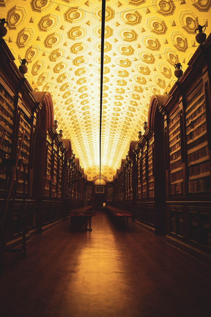 university library shelves